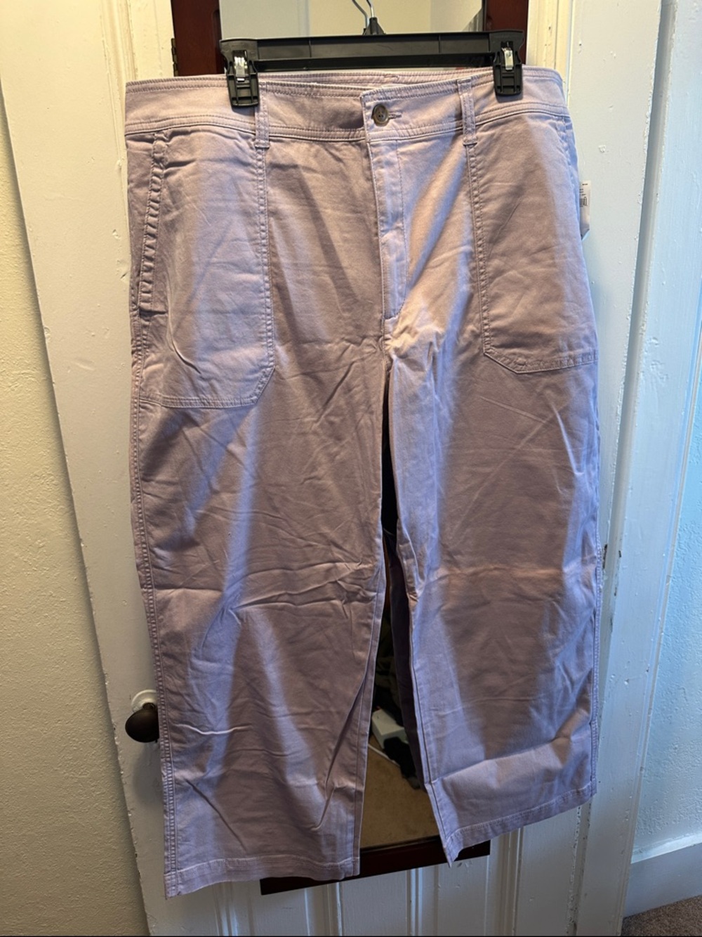 GAP Lavender Wide-Leg Cropped Trousers